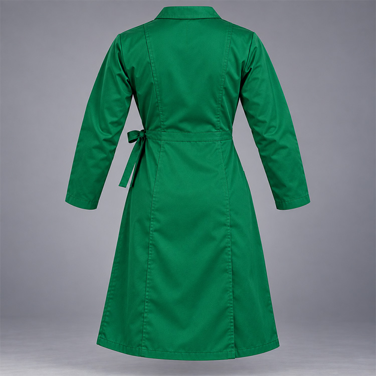 Ladies Wraparounds Long Sleeve back, isolated